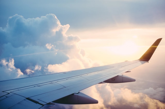 Honeymoon flights
