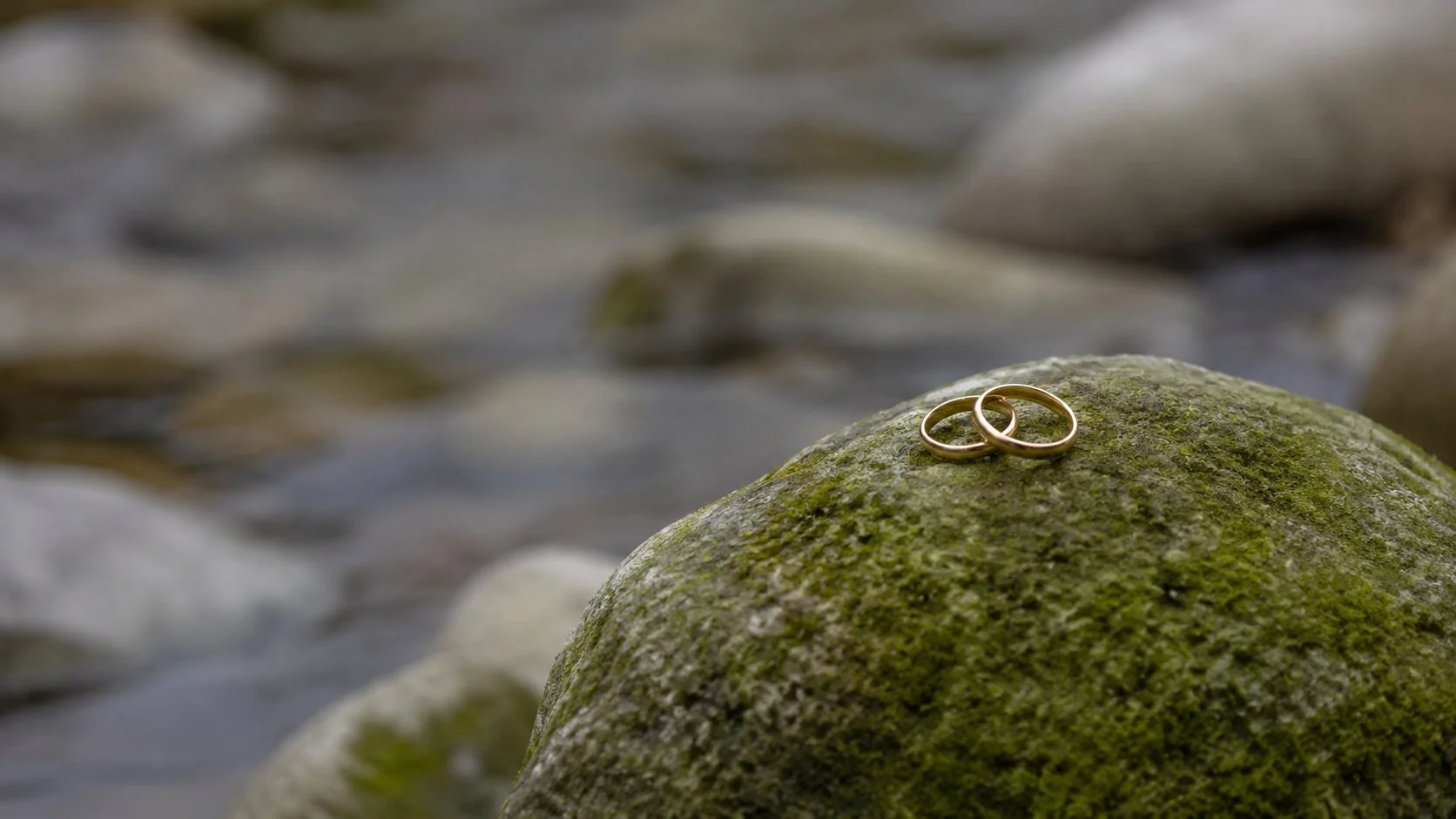 Two wedding rings resting on a moss-covered stone